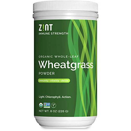 Zint Wheatgrass Powder, Organic (8 oz): Powerful Immune Support Supplement, Whole Leaf Antioxidant Chlorophyll Source for Detox, Immunity Booster