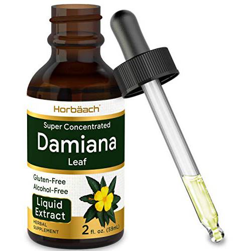 Damiana Leaf Herb Extract | Alcohol Free | 2 fl oz | Vegetarian, Non-GMO & Gluten Free | Liquid Tincture | by Horbaach