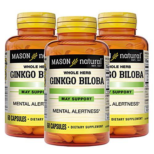 MASON NATURAL Ginkgo Biloba - Improve Mental Alertness, Supports Optimal Brain Function, Herbal Supplement, 60 Capsules (Pack of 3)