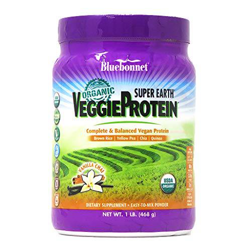 Bluebonnet Nutrition Super Earth Organic Veggie Protein Powder, Soy Free, Gluten Free, Kosher, Non-GMO, Vegan, USDA Organic, No Sugar Added, Vanilla Chai Flavor, 1 lb, 15 Servings