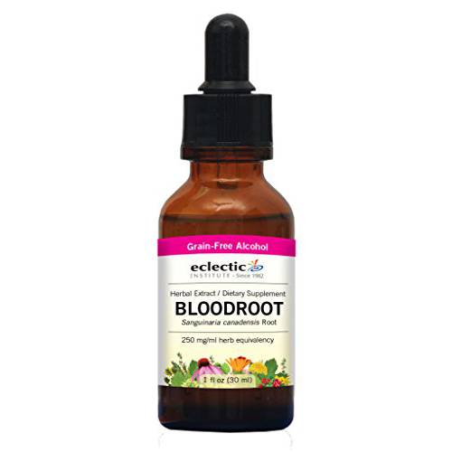 Eclectic Herb Wildcrafted Non-GMO Bloodroot | US Grown, Gluten Free, Soy Free, 100% Kosher | 2 fl oz (60 ml)