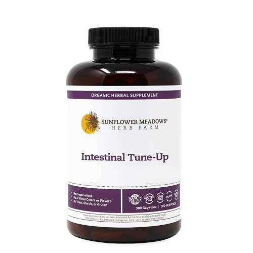 Intestinal Tune-Up - 100 Capsules - Cleansing Herbal Blend - No Artificial Colors or Flavors - Yeast, Starch, and Gluten Free
