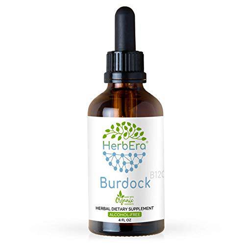 Burdock B120 Alcohol-Free Herbal Extract Tincture, Super-Concentrated Made with (Arctium Lappa) 4 fl oz