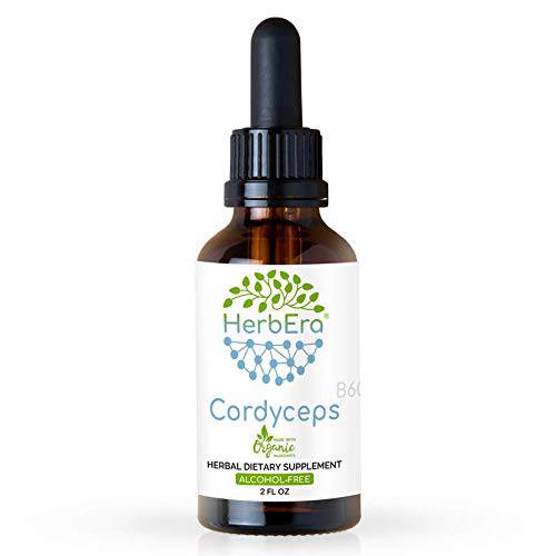 Cordyceps B60 Alcohol-Free Herbal Extract Tincture, Concentrated Liquid Drops Natural Cordyceps (Cordyceps Sinensis) Dried Mushroom (2 fl oz)