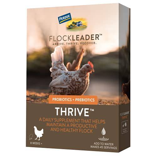 FlockLeader Thrive, Prebiotic Probiotic Daily Supplement for Chicken Flock, Flock Age 8+ Weeks, 8 OZ