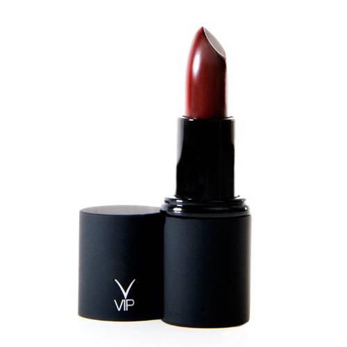 VIP Cosmetics Kardashian Inspired Long Wear Misty Burgundy Lip gloss Lipstick Make Up