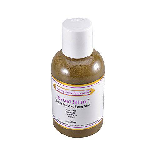 Simply Divine Botanicals You Can’t Zit Here Blemish Banishing Foamy Wash, 4 oz