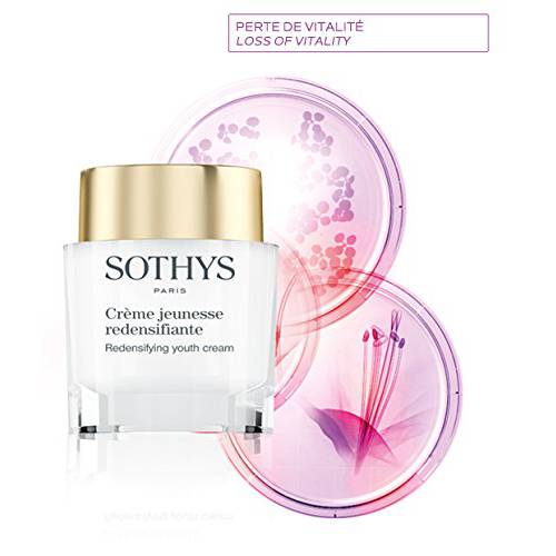 Sothys Redensifying Youth Cream, 50ml/1.69 fl oz