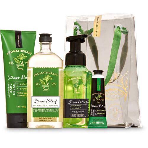 EUCALYPTUS SPEARMINT Aromatherapy Gift Bag Set - Body Cream - Body Wash & Foam Bath - Hand Soap and Hand Cream
