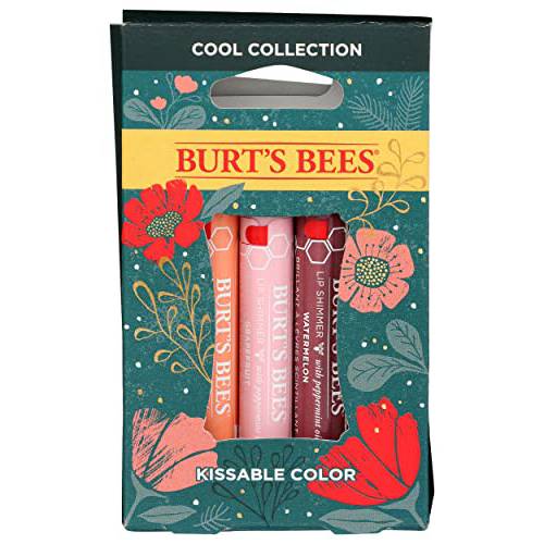 Burts Bees Cool Kissable Color Gift Set, 1 EA