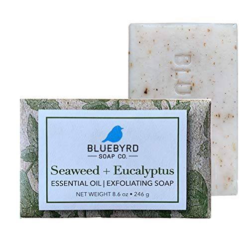 BLUEBYRD Soap Co. Eucalyptus & Seaweed Exfoliating Soap Bar, 100% Vegan Cold Press Large Soap Bars, Scented with Premium Essential Oils, Scrub Soap Bars for Men and Women, Exfoliate Body Naturally with Oatmeal, Shea Butter, Olive Oil, 8.6oz (EUCALYPTUS & SEAWEED)