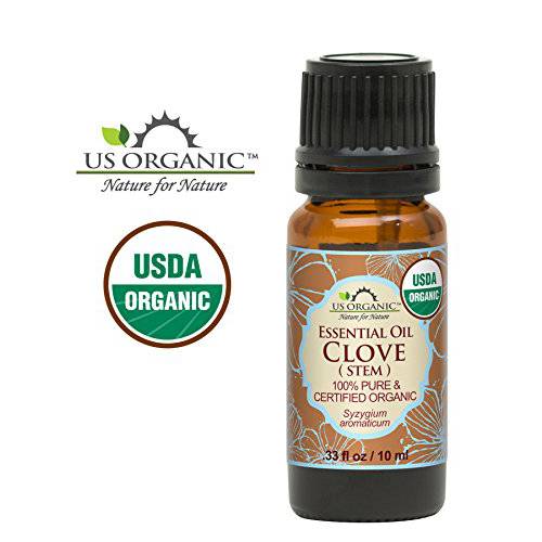 US Organic 100% Pure Clove Stem Essential Oil - USDA Certified Organic, Steam Distilled (10 ml)