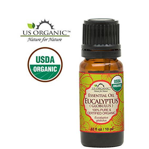 US Organic 100% Pure Eucalyptus Essential Oil (Globulus) - USDA Certified Organic, Steam Distilled - W/Euro droppers (More Size Variations Available) (10 ml / .33 fl oz)