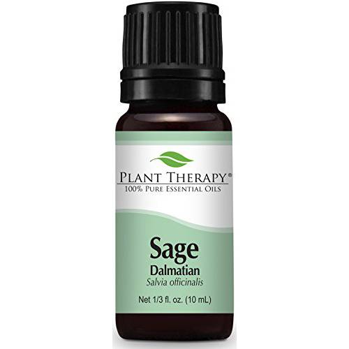 Plant Therapy Dalmatian Sage Essential Oil 10 mL (1/3 oz) 100% Pure, Undiluted, Therapeutic Grade