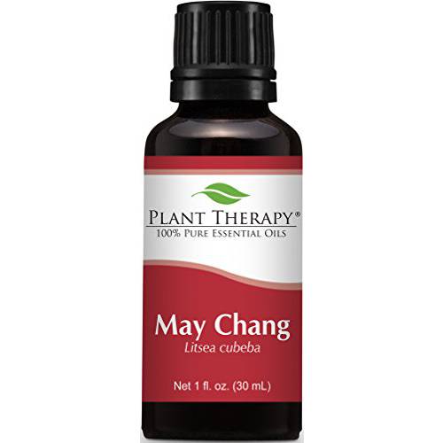 Plant Therapy May Chang (Litsea Cubeba) Essential Oil 30 mL (1 oz) 100% Pure, Undiluted, Therapeutic Grade
