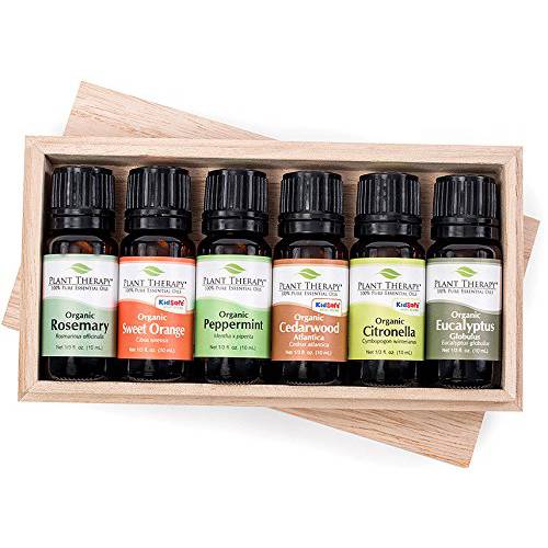 Plant Therapy Organic Essential Oil Sampler Gift Set Includes USDA Certified Organic: Eucalyptus, Peppermint, Rosemary, Cedarwood, Sweet Orange and Citronella 10 mL (1/3 Ounce) Each