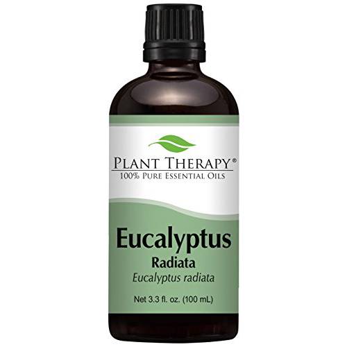 Plant Therapy Eucalyptus Radiata Essential Oil 100 mL (3.3 oz) 100% Pure, Undiluted, Therapeutic Grade