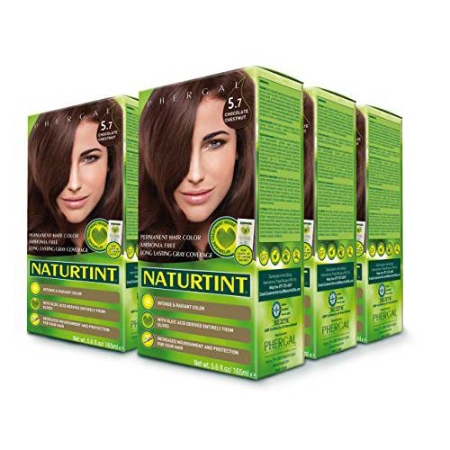Naturtint Permanent Hair Color 5GM Chocolate Chestnut (Pack of 6), Ammonia Free, Vegan, Cruelty Free, up to 100% Gray Coverage, Long Lasting Results