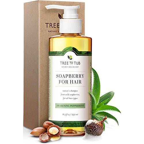 Tree to Tub Peppermint Shampoo for Oily Hair & Sensitive Scalp - Gentle Clarifying Shampoo for Build Up, Sulfate Free Anti Residue Hair Shampoo for Women & Men w/ Organic Argan Oil, Natural Aloe Vera