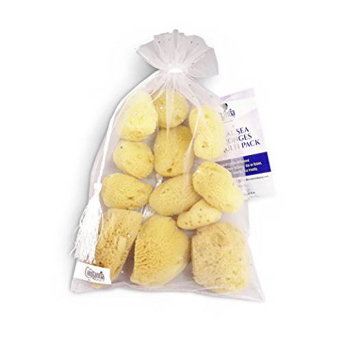 Natural Sea Silk Sponges 12pk: Size 1.5-3 like Cotton Balls, for Cosmetic Use, Makeup Application & Removal, Face & Eye Cleaning, with Luxury Gift Bag by Constantia Beauty®