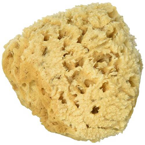 Natural Sea Wool Sponge 4-5 by Spa Destinations ® Amazing Natural Renewable ResourceCreating The in Perfect Bath and Shower Experience