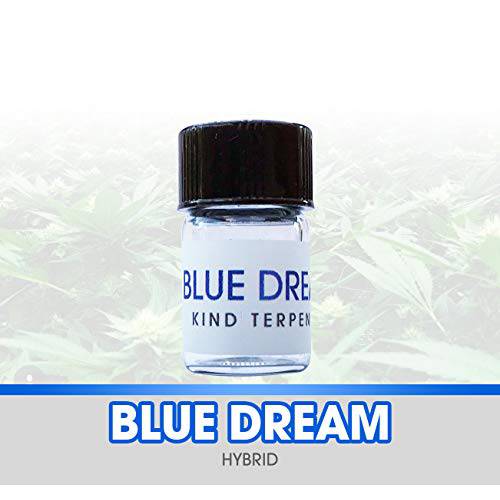 Kind Terpenes - 1 ml Blue Dream Natural Terpene