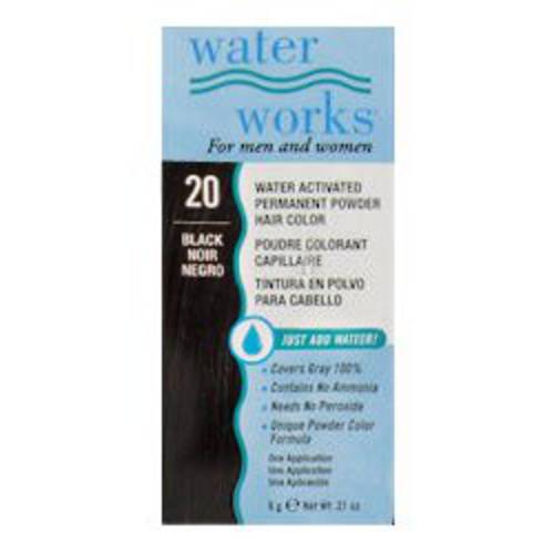 Water Works Permanent Powder Hair Color - 20 Black .2 oz. (Pack of 2)