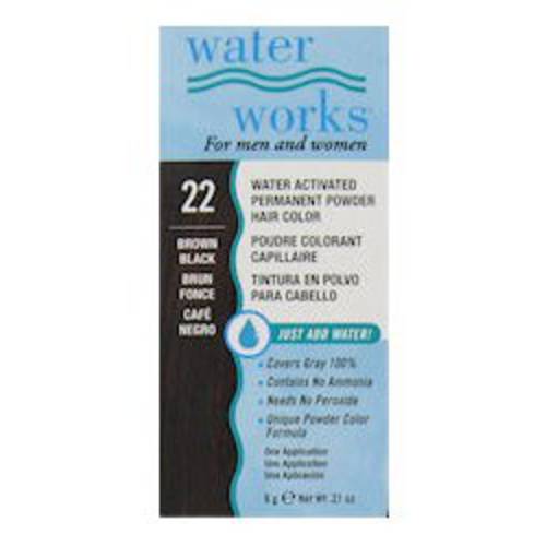 Water Works Permanent Powder Hair Color - 22 Brown Black .2 oz. (Pack of 2)
