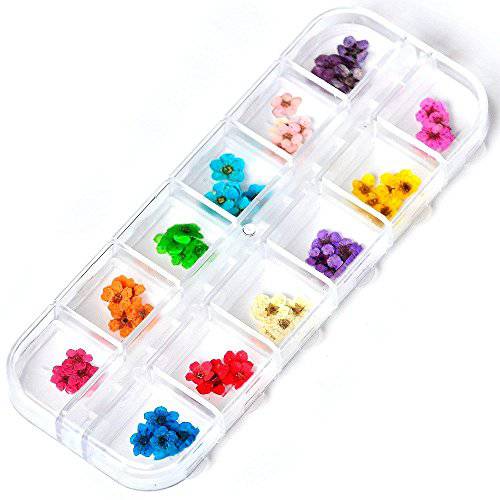 Yimart Nail Art Accessories Real Natural Dried Flowers 12 Colors Bundle Set For 3D Nail Art Acrylic UV Gel Tips