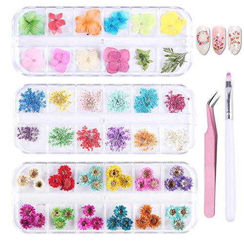 PHAETON 36 Colors Mini Nail Dried Flowers 3D Nail Art Sticker, Flower Beauty Nail Stickers for Manicure, Natural Real Dry Flower Kit with a Curved Tweezers and a Nail Brush 3 Boxes