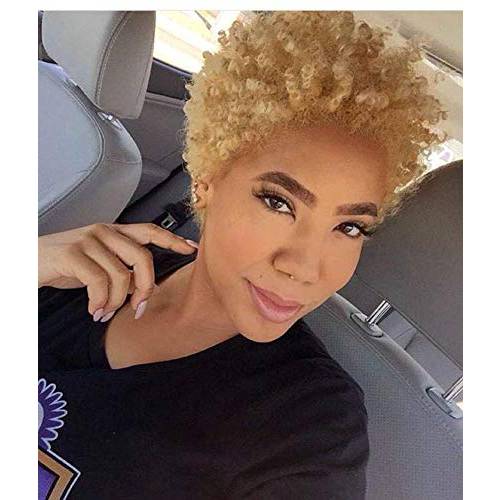 Naseily Hair Short Blonde Curly Wig Short Blonde Hair Wigs for Black Women Short Synthetic Wigs for African American Women Wigs Short Hairstyles (Blonde)