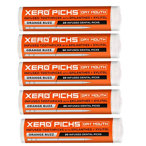 Xero Picks Dry Mouth - Infused Flavored Toothpicks for Long Lasting Fresh Breath & Dry Mouth Prevention (1 Pack - Spearmint)