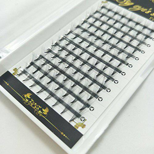 Big Eye’s Secret 10D Premade Volume Fans Eyelash Extensions 0.10 C/D 10-14mm Long Thickness Eyelashes For Makeup And Beauty Professional Salon Use In One Tray (11mm)