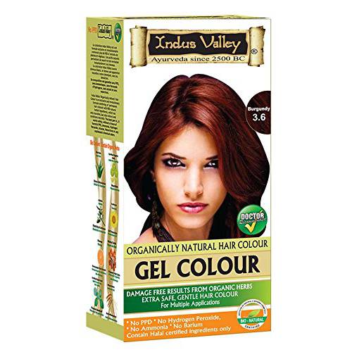 Indus Valley Natural Organic Damage Free Permanent Gel Hair Color, Ammonia Free, Vegan, Cruelty Free, Up to 100% Gray Coverage |Doctor Recommended| Bio Natural Certified- Black 1.0 (20gram+200ml) Pack of 1