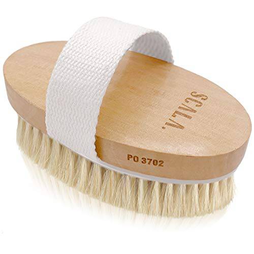 Wet and Dry Body Brush Exfoliator - Soft Bristle Brush Naturally Exfoliates Dead Skin, Smooths Cellulite, Slows Aging, Stimulates Lymph and Blood Flow by Scala Beauty, 5 x 2.75 In