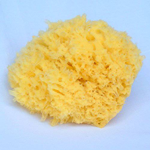 Sea Sponge for Bathing 5 inch-Softly Rough but Not Skin Irritating – Yellow, Natural Bath Sponge-Renewable Resource – Natural Sponge for Body and Shower-Lathers & Washes Really Well