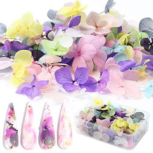 XICHEN 100 PCS Hydrangea petals of Dry Flowers Nail Art Stickers Natural Nail Supplies Curved Tweezers with Professional