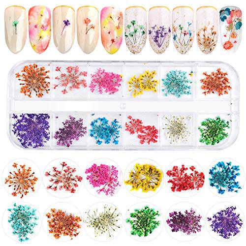 EBANKU 12 Colors 3D Dried Flowers Nail Art Decals, Colorful Dried Gypsophila Flowers Nail Art Stickers Decoration, 3D Nail Decoration for UV Gel/Acrylic Nail Design