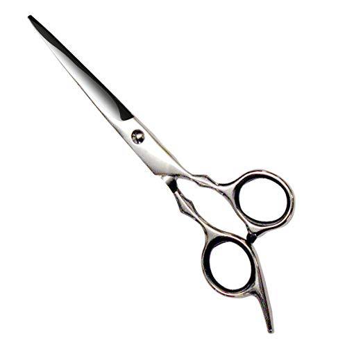 Professional Hair Scissors - Barber & Salon Professional Hair Cutting - Thinning Scissors for Men/Women - Stainless Steel Shears for Hairdressing - Razor Edge Scissors