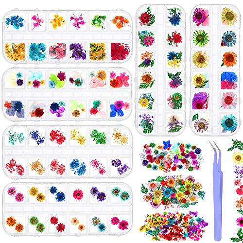 6 Boxes Dried Flowers for Nail Art, Audab 190 Pcs Nail Dried Flowers Mini Resin Flowers for Nail Art Resin Decoration
