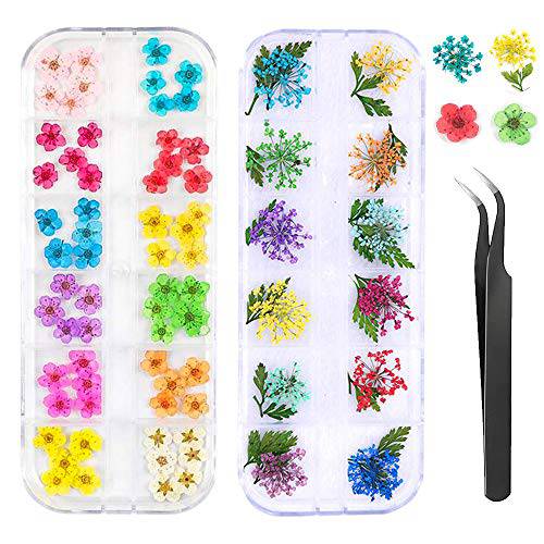 3D Nail Dried Flowers Sticker Set with Tweezers, CHANGAR Real Dried Flowers for Nail Art & Resin Craft DIY Five Petal Flower Leaf Gypsophila Dry Flower Nail Art Decoration Kits(2 Boxes)