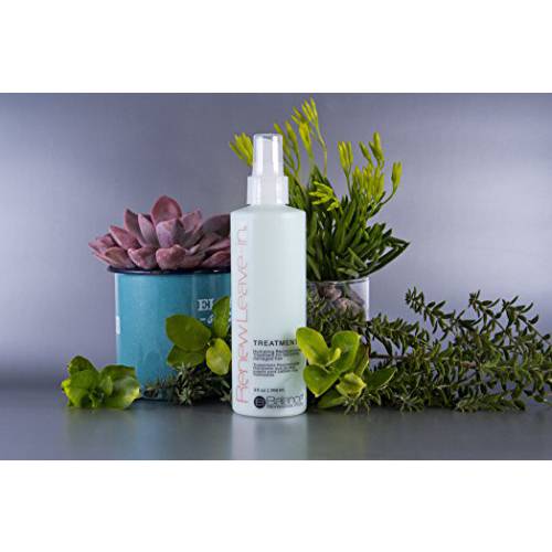 Renew Leave in Treatment 9oz