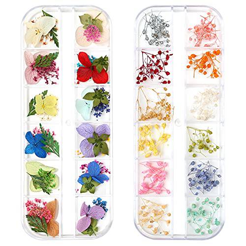 iFancer Dried Flowers for Resin Nail Art 3D Small Tiny Real Natural Mini Pressed Dry Flowers for Nails DIY Crafting Decoration Supplies (2 Boxes, 180 Pcs, 37 Colors)