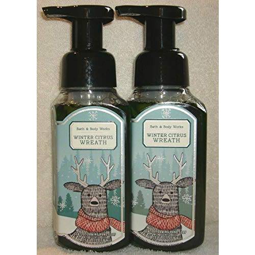 Bath and Body Works 2 Pack Winter Citrus Wreath Gentle Foaming Hand Soap 8.75 Oz