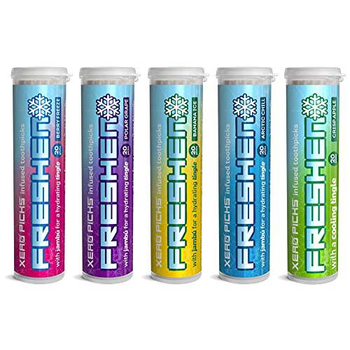 Xero Picks Freshen - Infused Flavored Toothpicks - Cooling Fresh Breath - 100 Picks - 5 Pack - Variety