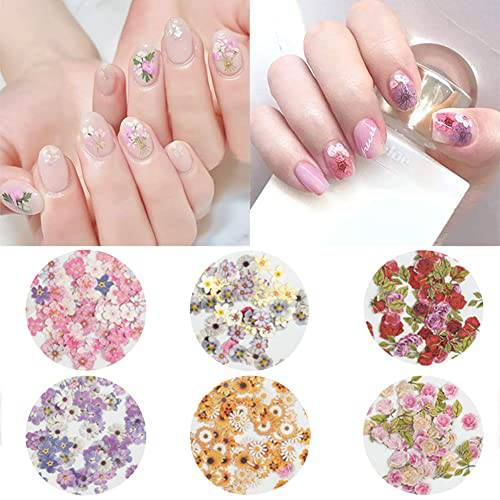 DSHIJIE 3D Flower Nail Stickers-Dry Flower Nails Holographic Simulation Flower Leaf Nail Glitter Sequin Acrylic Paillettes, Sparkle Nail Glitter for Nail Art Decoration (Flower-01)