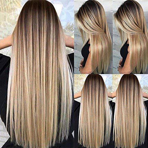 JOUKAYEA Long Ombre Brown Blonde Wig for White Black Women, Dirty Blond Highlight Straight Synthetic Wig with Dark Roots, Golden Girls Wig Fashion Realistic Gold Fake Hair Replacement 26 Inch