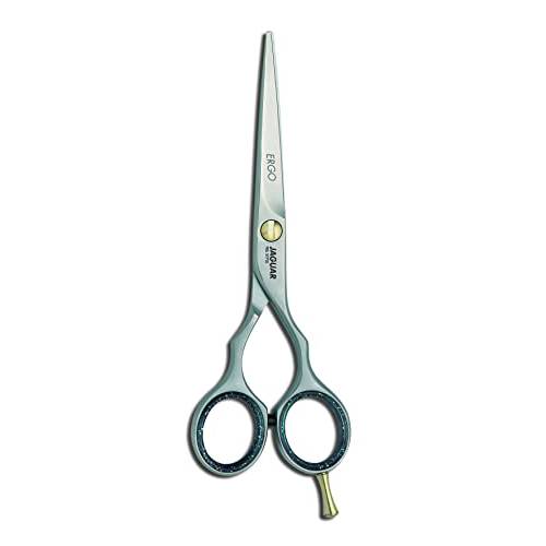 Jaguar Hairdressing Shears Pre Style Ergo 6.0 Inch Professional Stainless Steel Hair Cutting & Trimming Scissors for Salon Stylists and Barbers, Satin Finish Look, Classic Design, Made in Germany