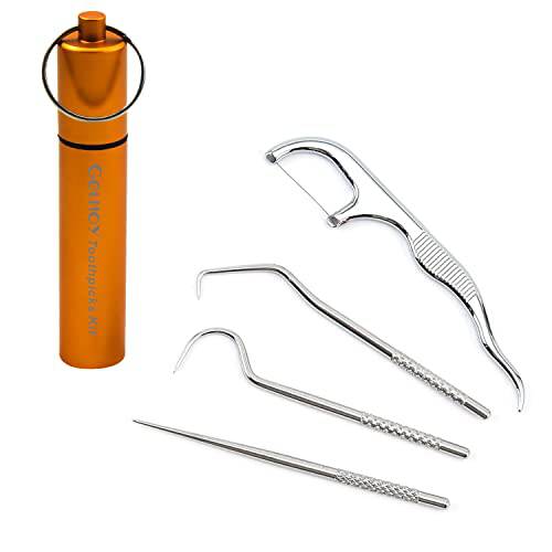 Portable Toothpicks Pocket Set, Dental Floss Picks, Reusable Flosser, Travel Tooth Picker, Flossers for Adults, Stainless Steel Teeth Cleaning Kit