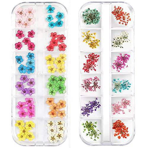 LPOne 2 Boxes 3D Nail Mini Dried Flowers Sticker Nail Art Resin Craft DIY,Real Natural Dried Flowers, Five Petal Flower Leaf Gypsophila Dry Flower Nail Art Decoration Kits., box 5.12 x 1.97 inches